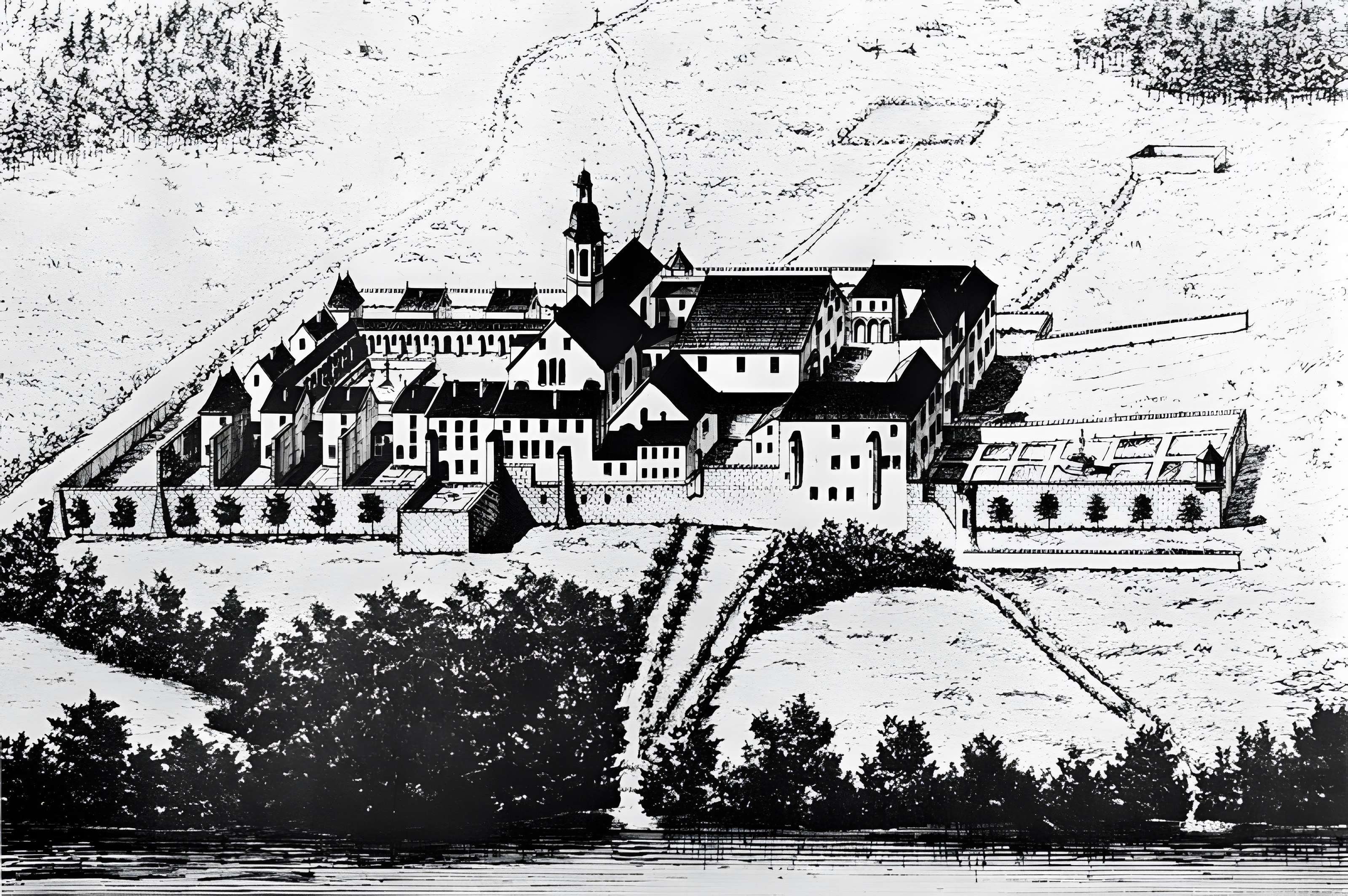 Chartreuse de Vaucluse 