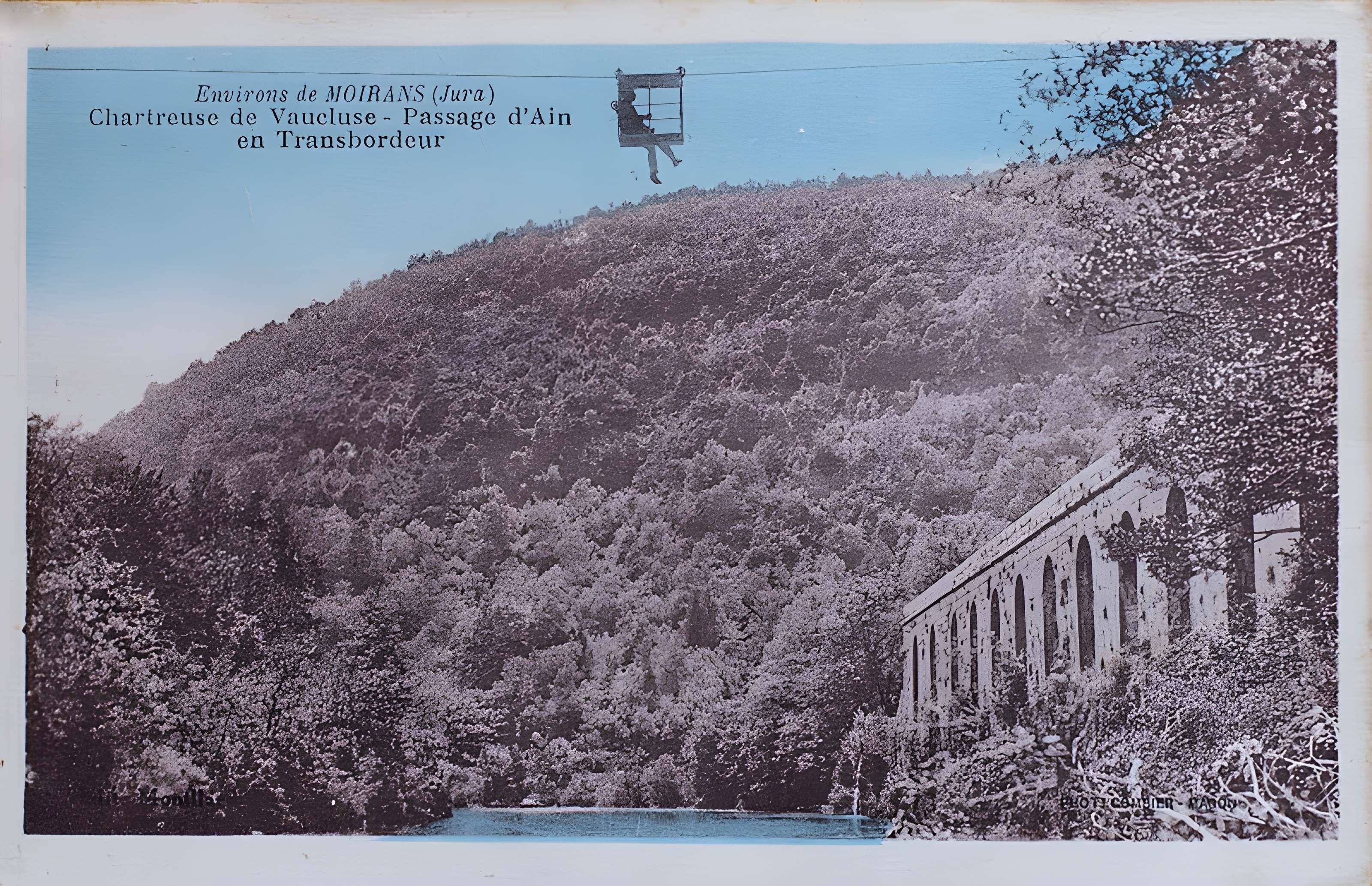 Chartreuse de Vaucluse