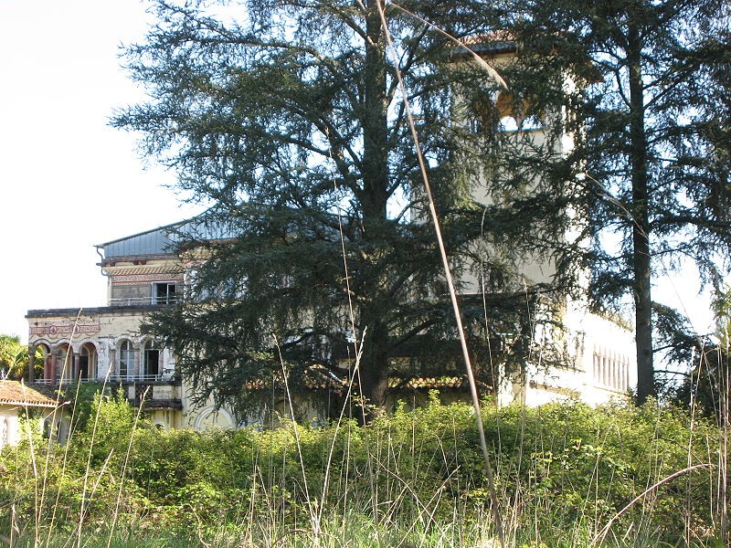 Photo de Château Bijou
