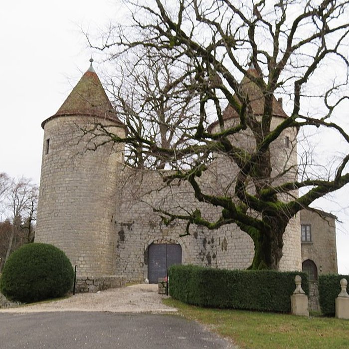 Photo de Château dAndelot
