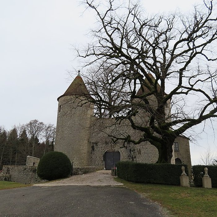 Photo de Château dAndelot