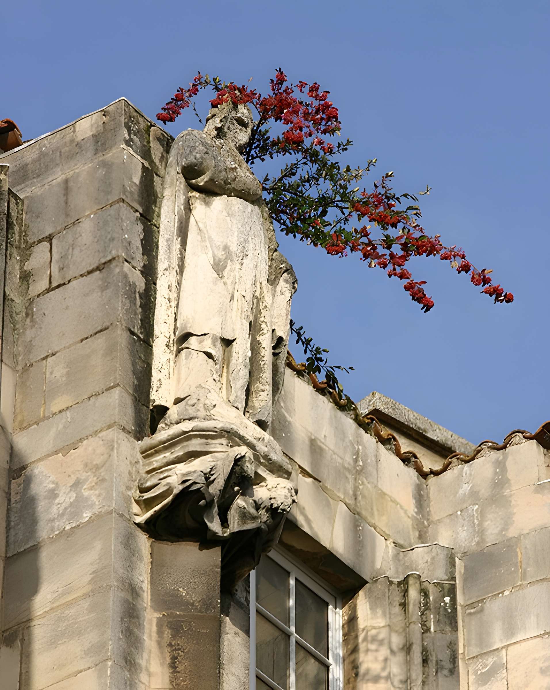 Palais des comtes de Poitiers