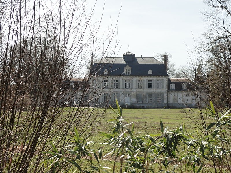 Photo de Château d'Athis
