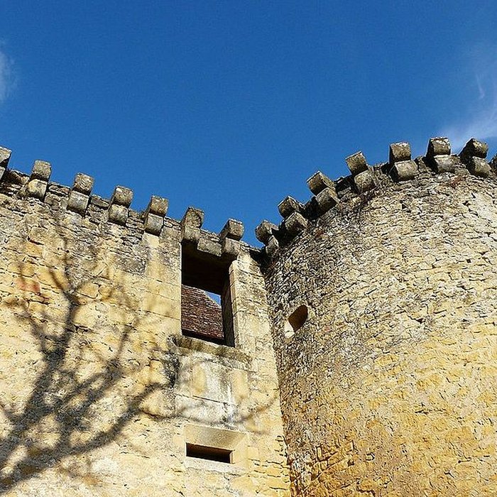 Photo de Château dAuberoche à Fanlac