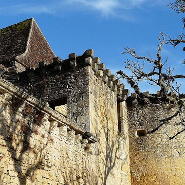 Château dAuberoche à Fanlac