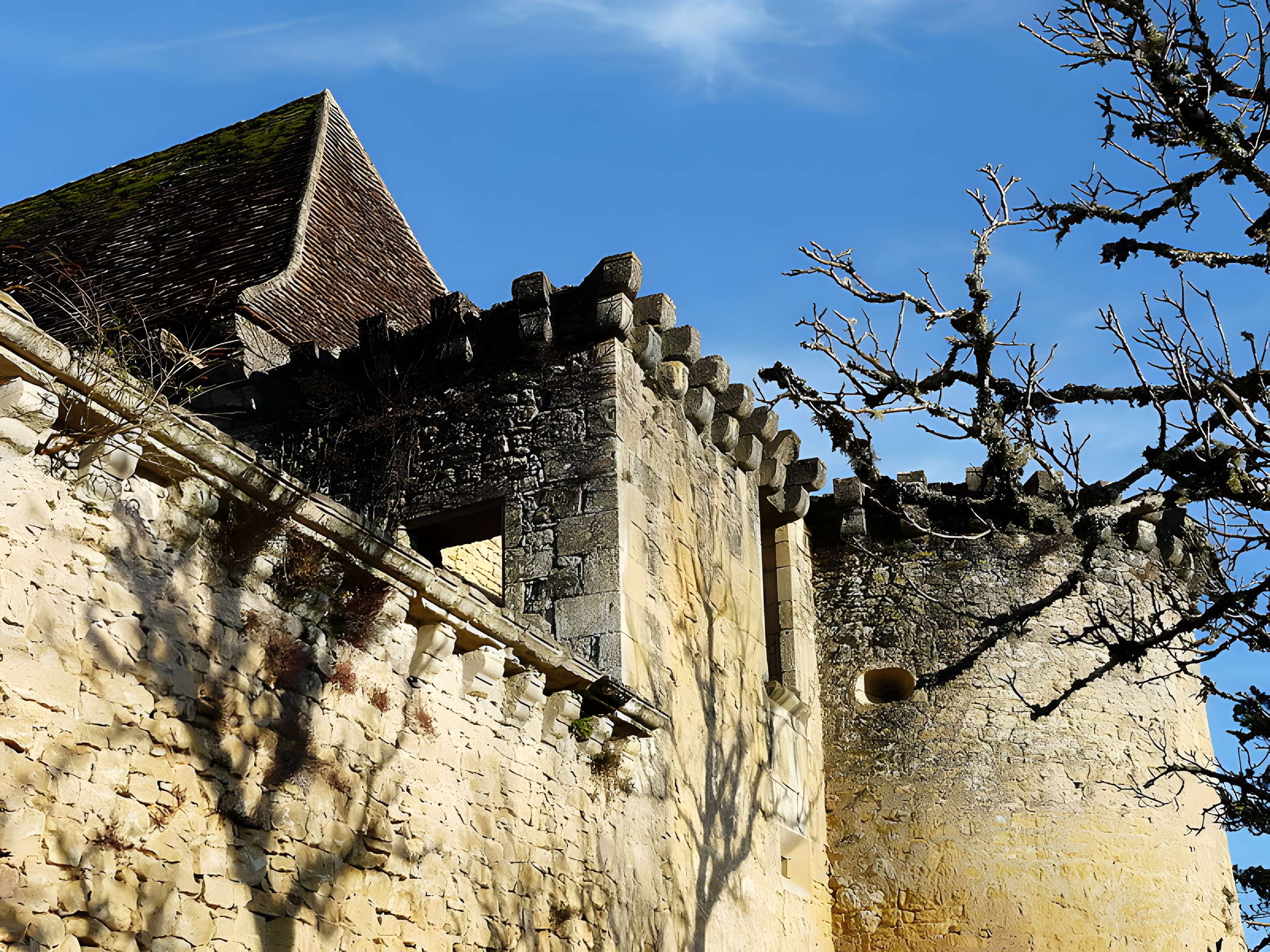Château d'Auberoche à Fanlac