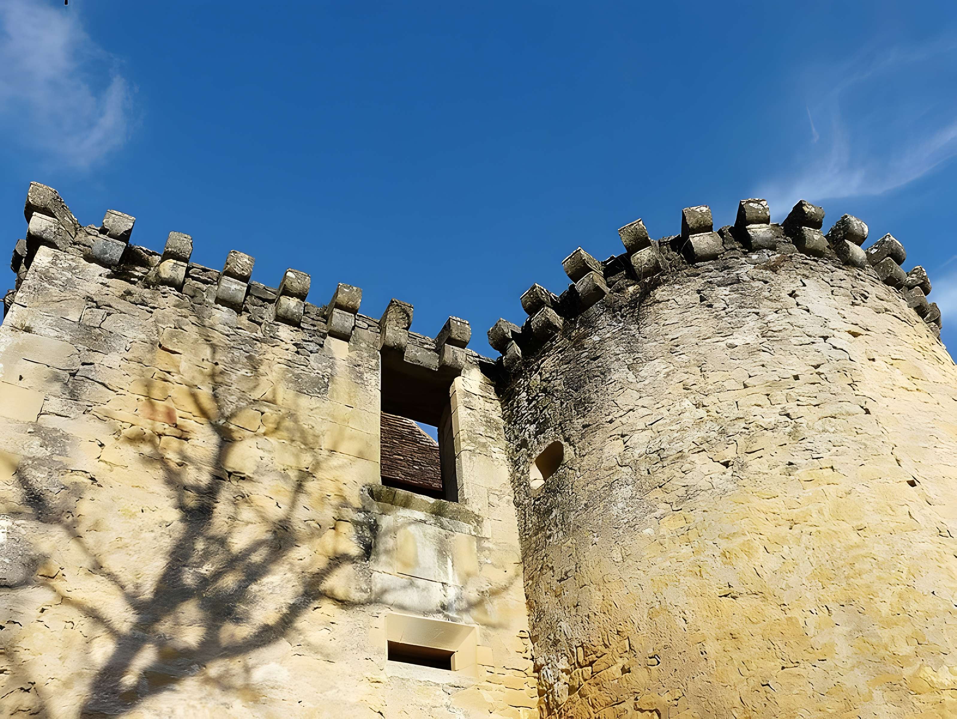 Château d'Auberoche à Fanlac