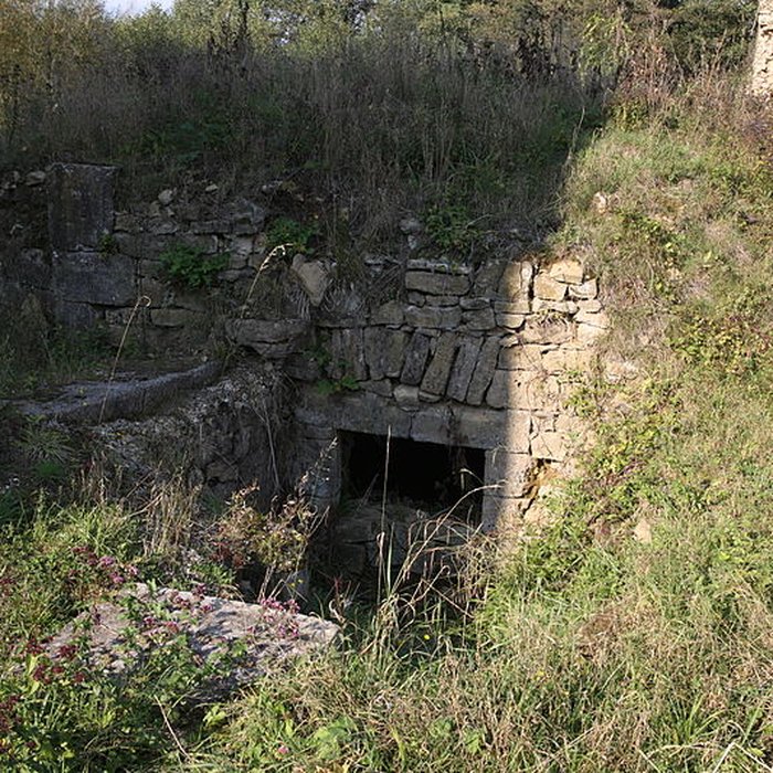 Photo de Château dAuflance