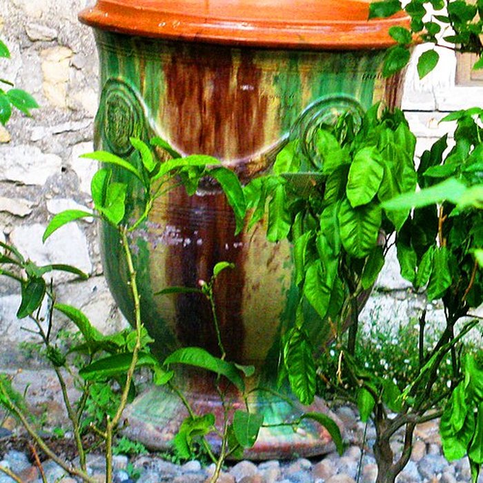 Photo de Palais des évêques de Bourg-Saint-Andéol