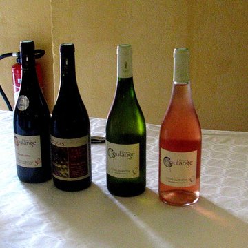 Palais des évêques de Bourg-Saint-Andéol