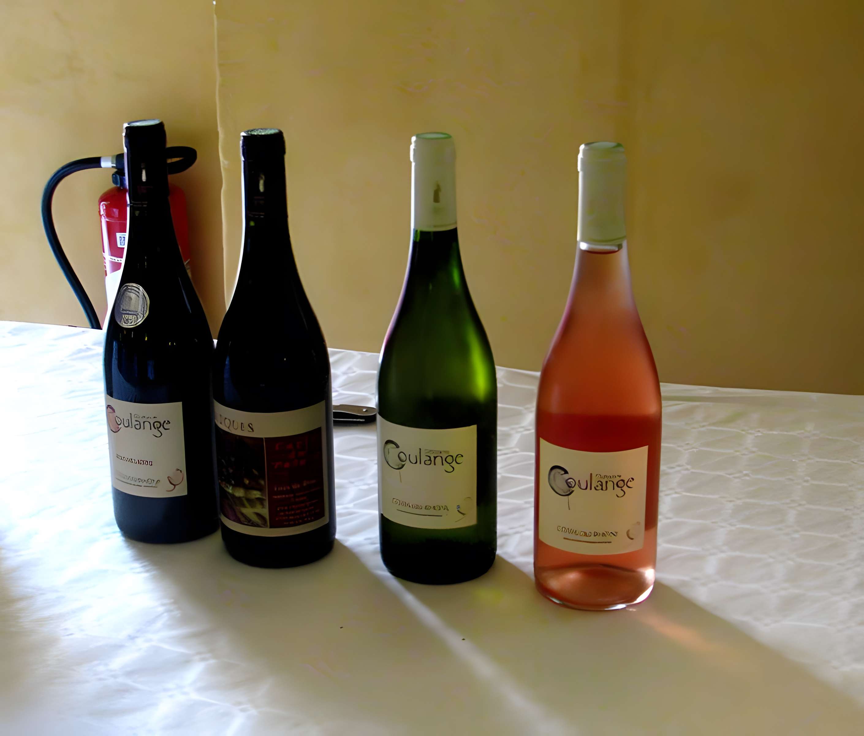 Palais des évêques de Bourg-Saint-Andéol