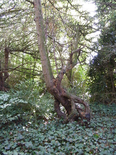 Château de Bagatelle