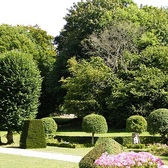 Photo de Château de Bagatelle