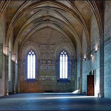 Palais des papes dAvignon