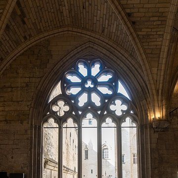 Palais des papes dAvignon