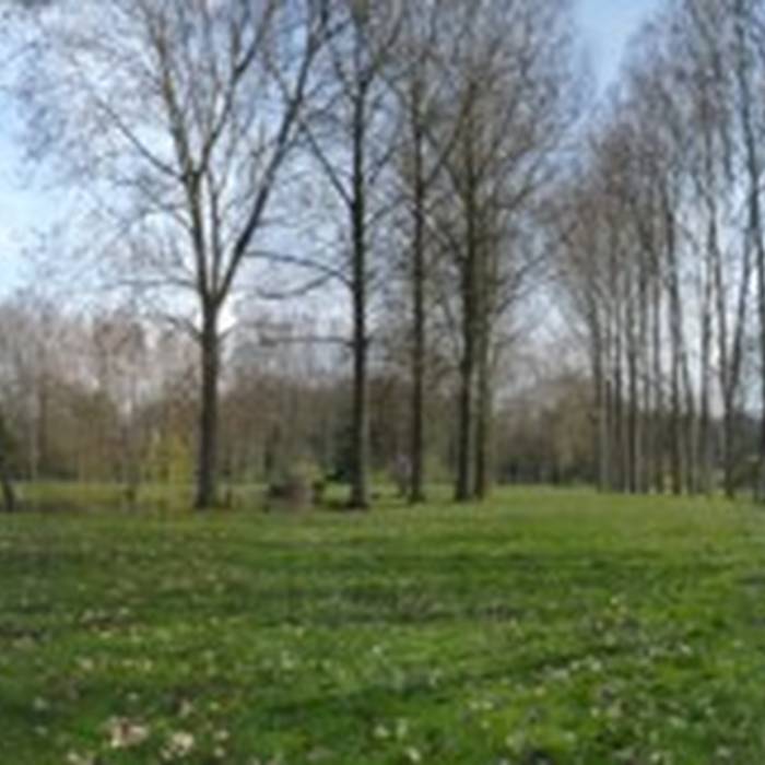 Photo de Château de Barjouville