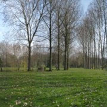 Château de Barjouville