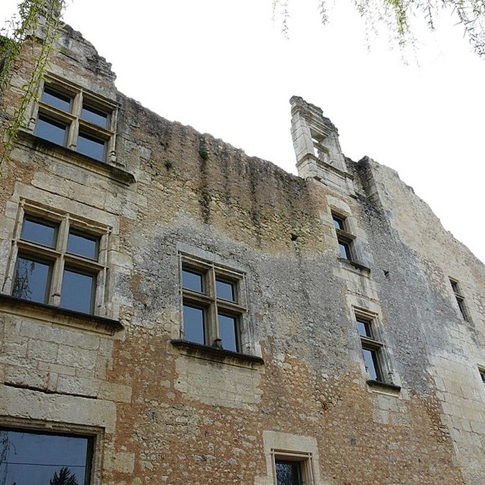Photo de Château de Barrière à Villamblard