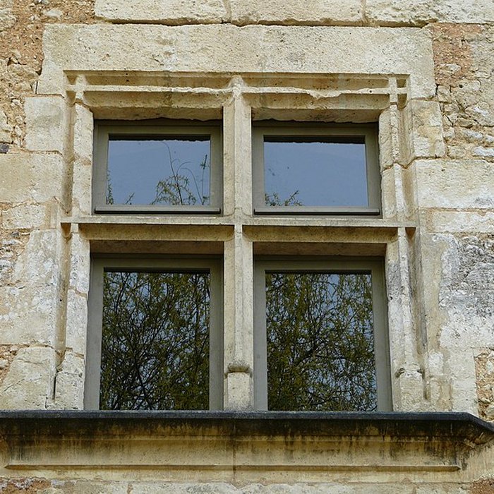 Photo de Château de Barrière à Villamblard