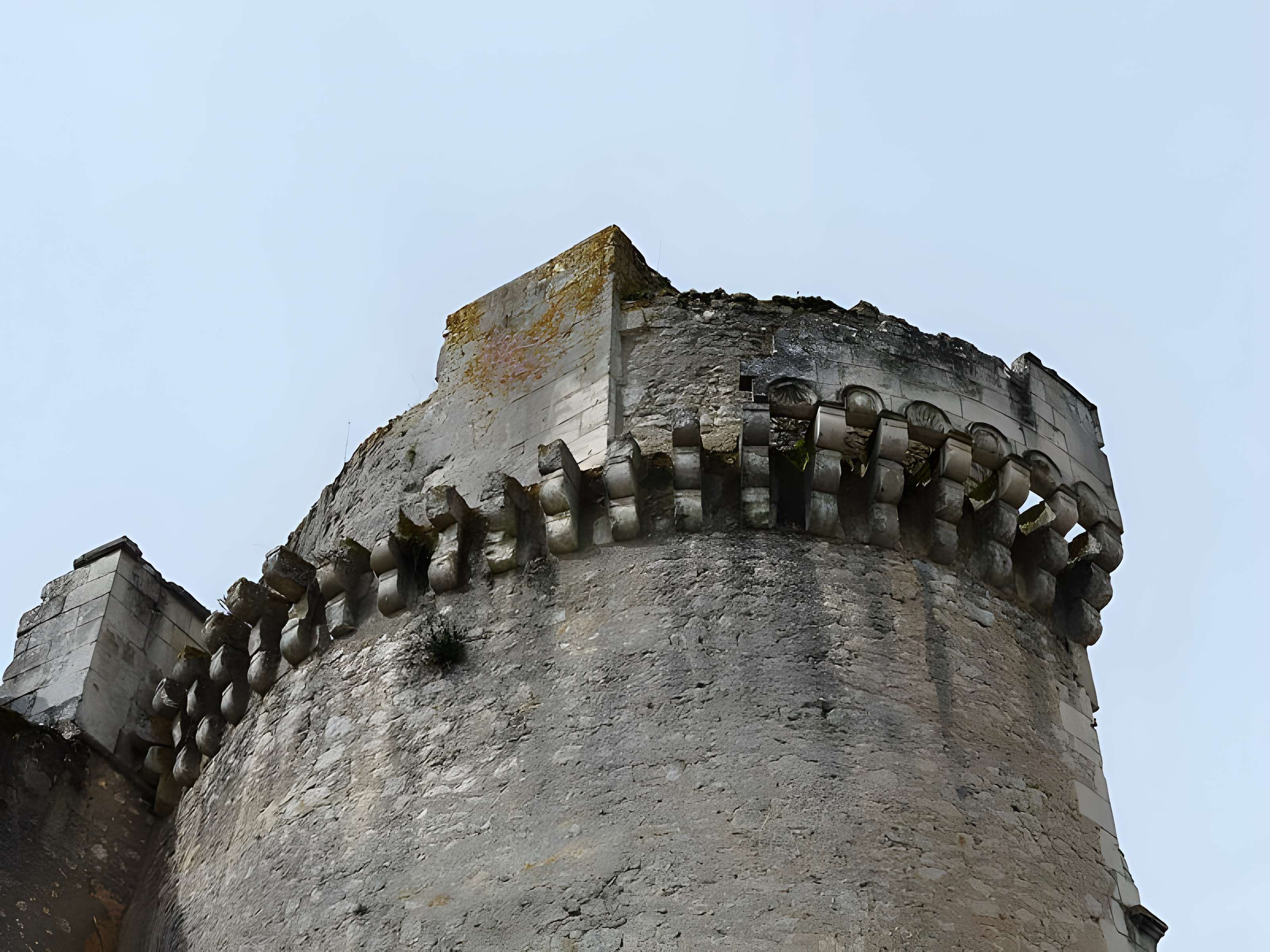Château de Barrière à Villamblard