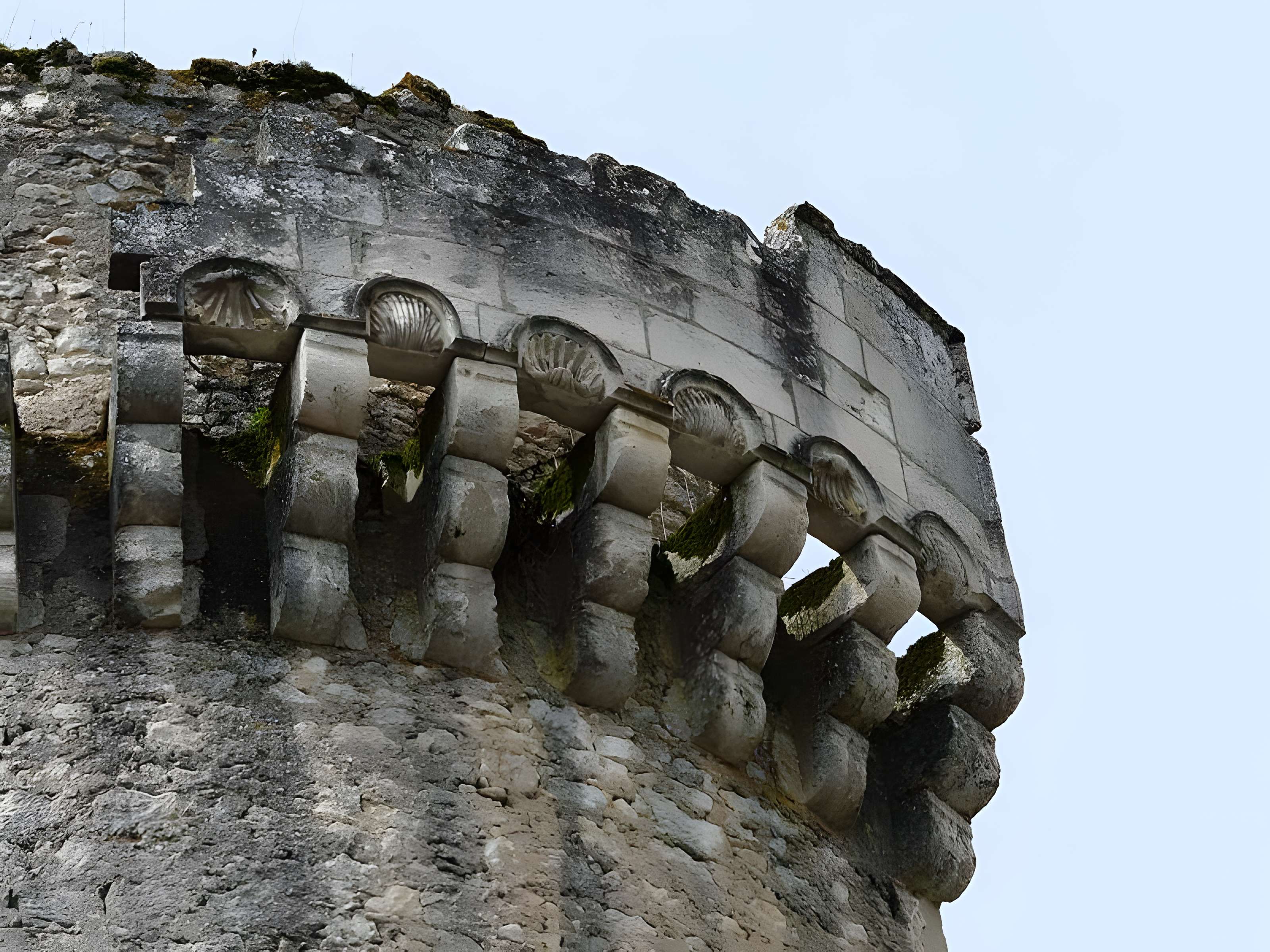 Château de Barrière à Villamblard