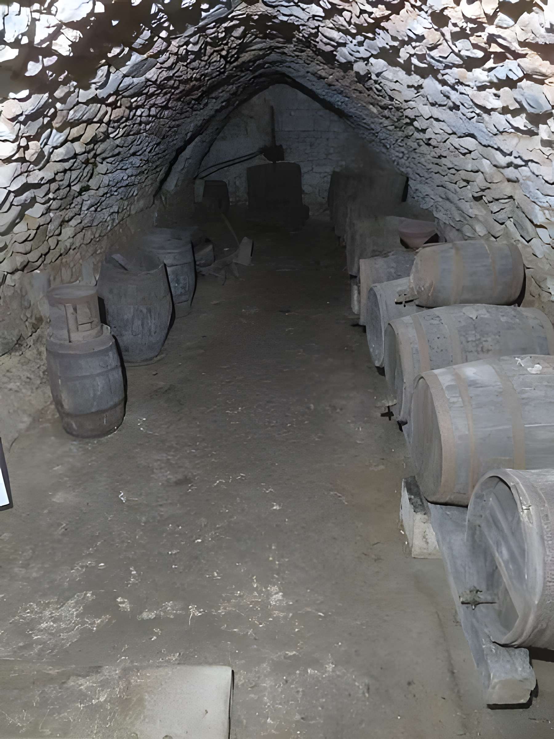 Château de Barrière à Villamblard