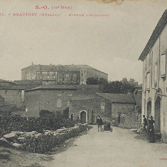 Photo de Château de Beaufort