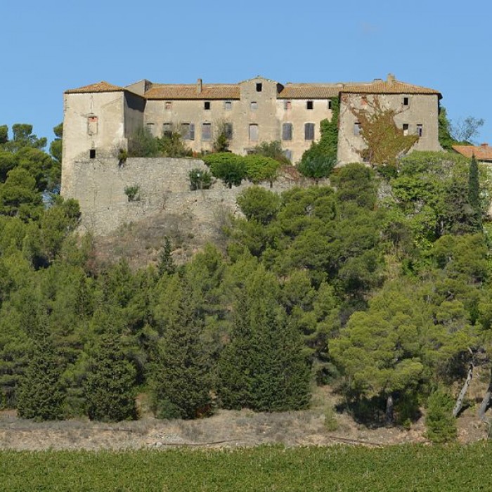 Photo de Château de Beaufort