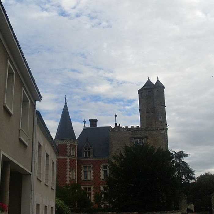 Photo de Château de Beaumont-la-Ronce