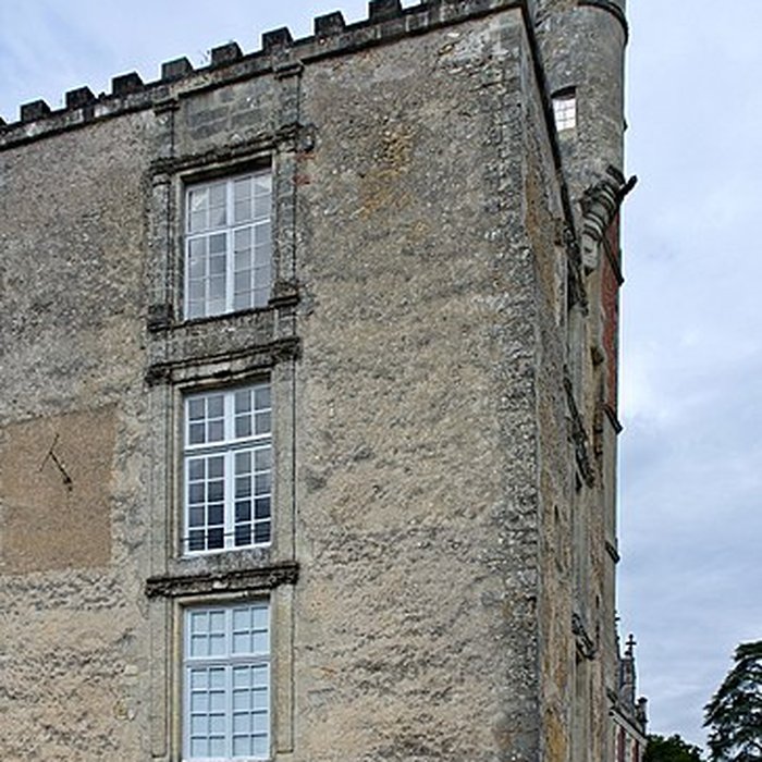 Photo de Château de Beaumont-la-Ronce
