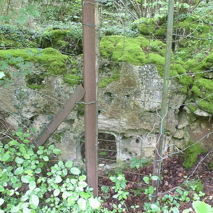 Photo de Allée couverte de la côte du Libéra à Arronville