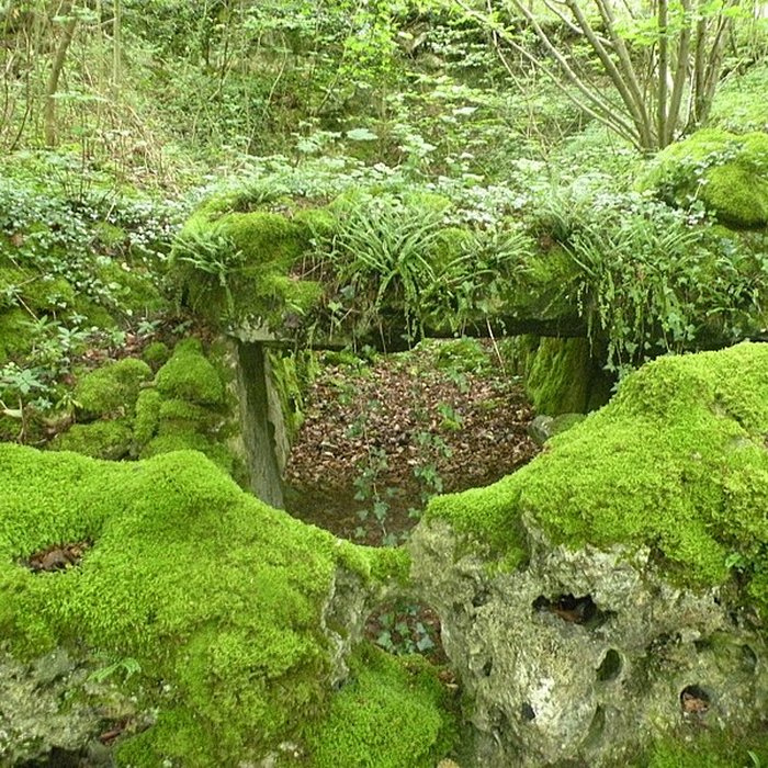 Photo de Allée couverte de la côte du Libéra à Arronville