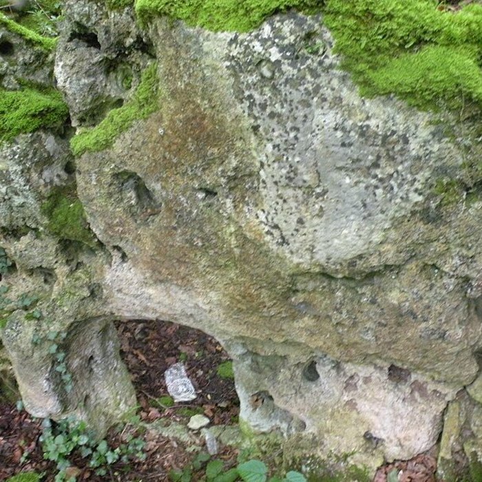 Photo de Allée couverte de la côte du Libéra à Arronville