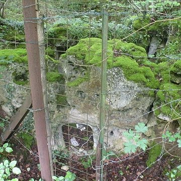 Allée couverte de la côte du Libéra à Arronville