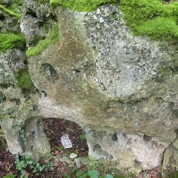 Allée couverte de la côte du Libéra à Arronville