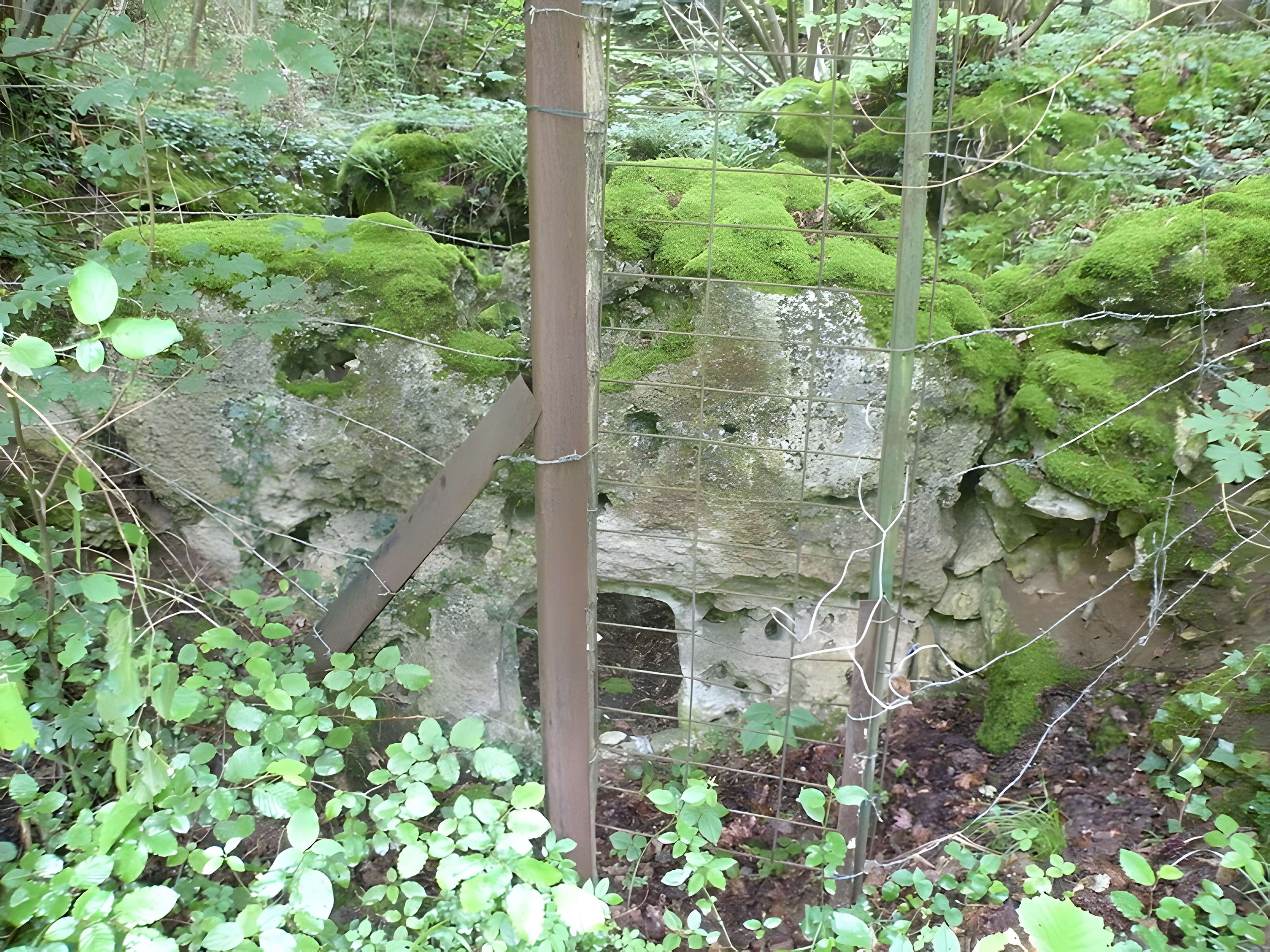 Allée couverte de la côte du Libéra à Arronville