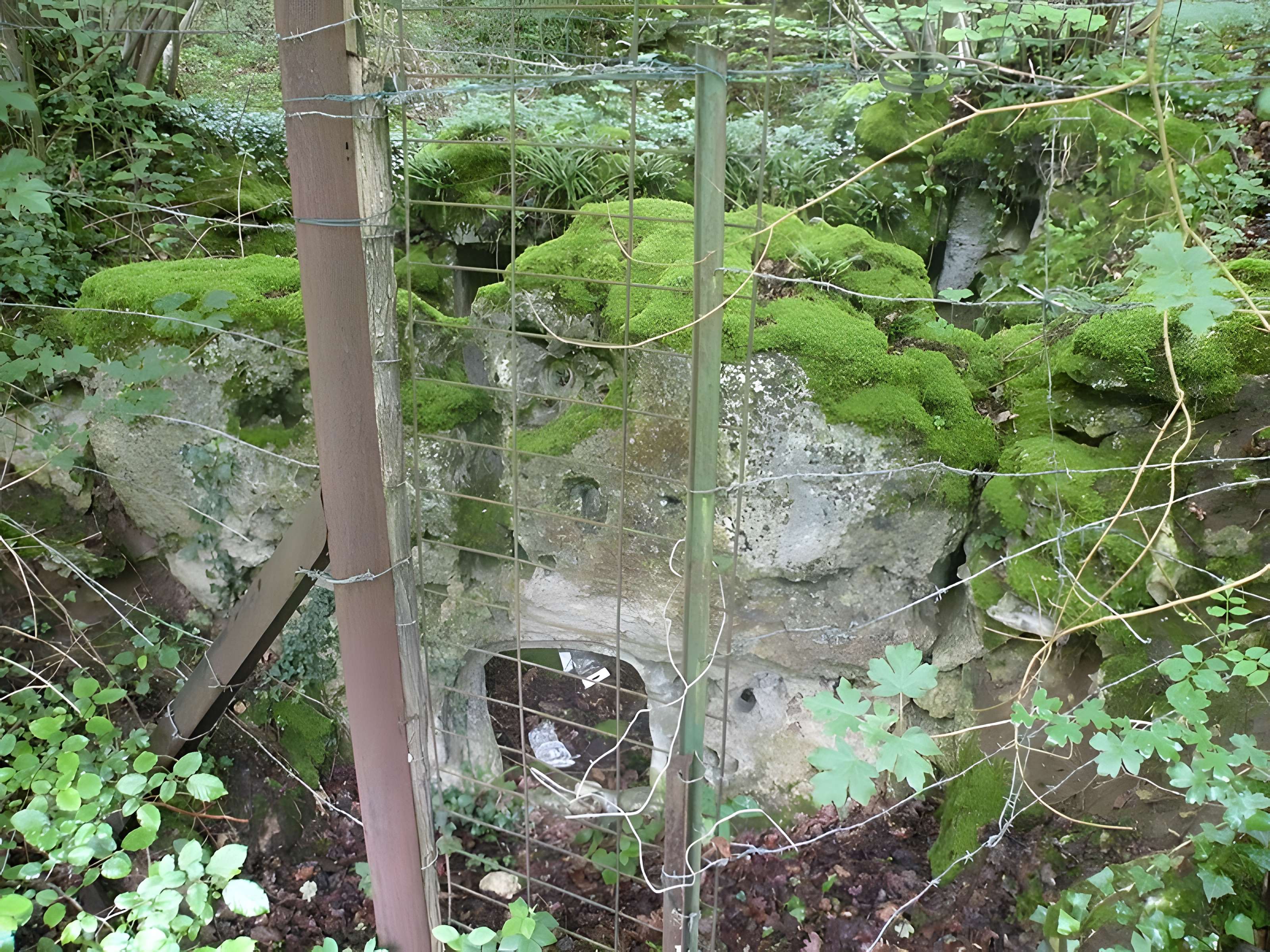 Allée couverte de la côte du Libéra à Arronville