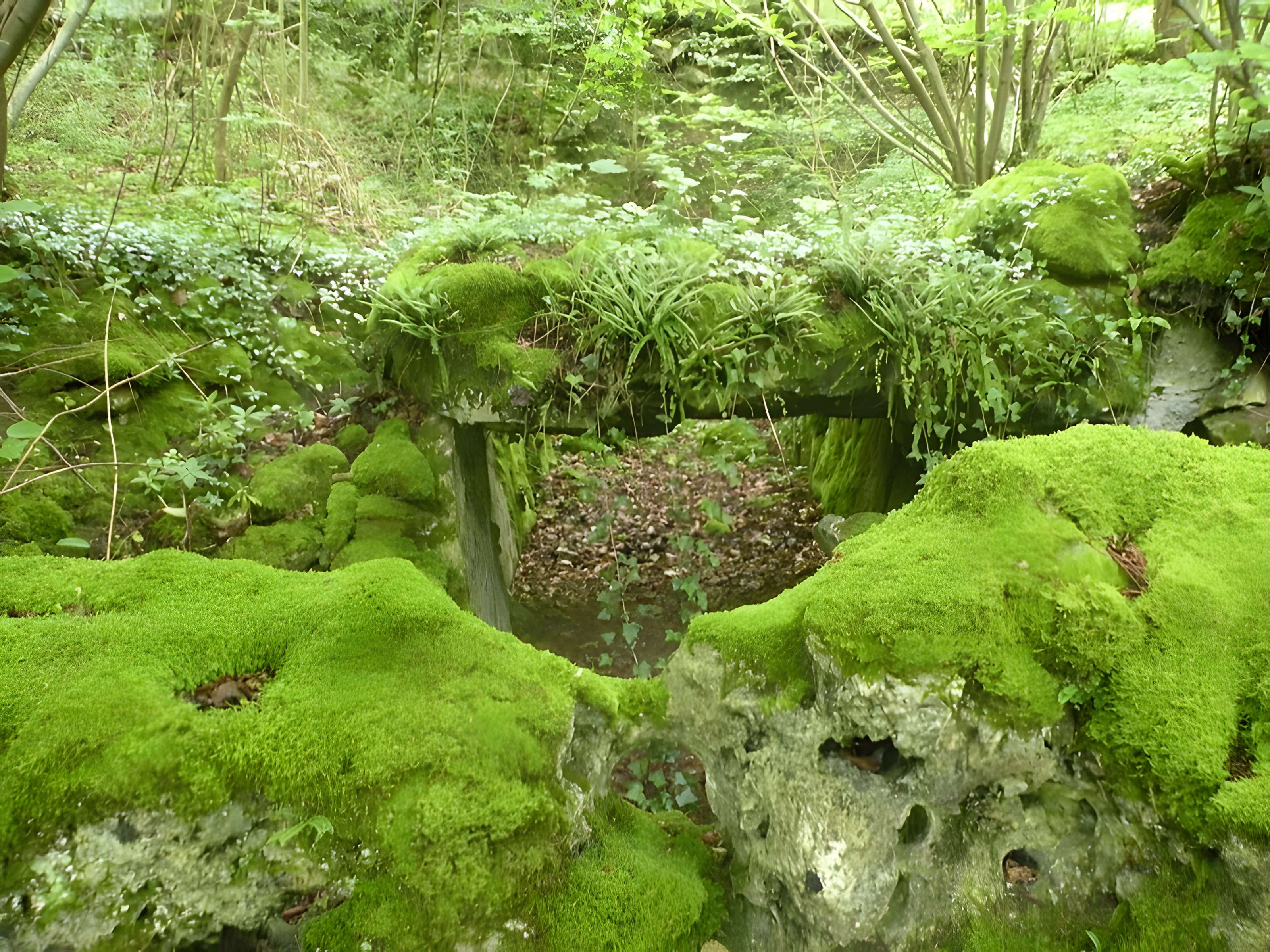 Allée couverte de la côte du Libéra à Arronville