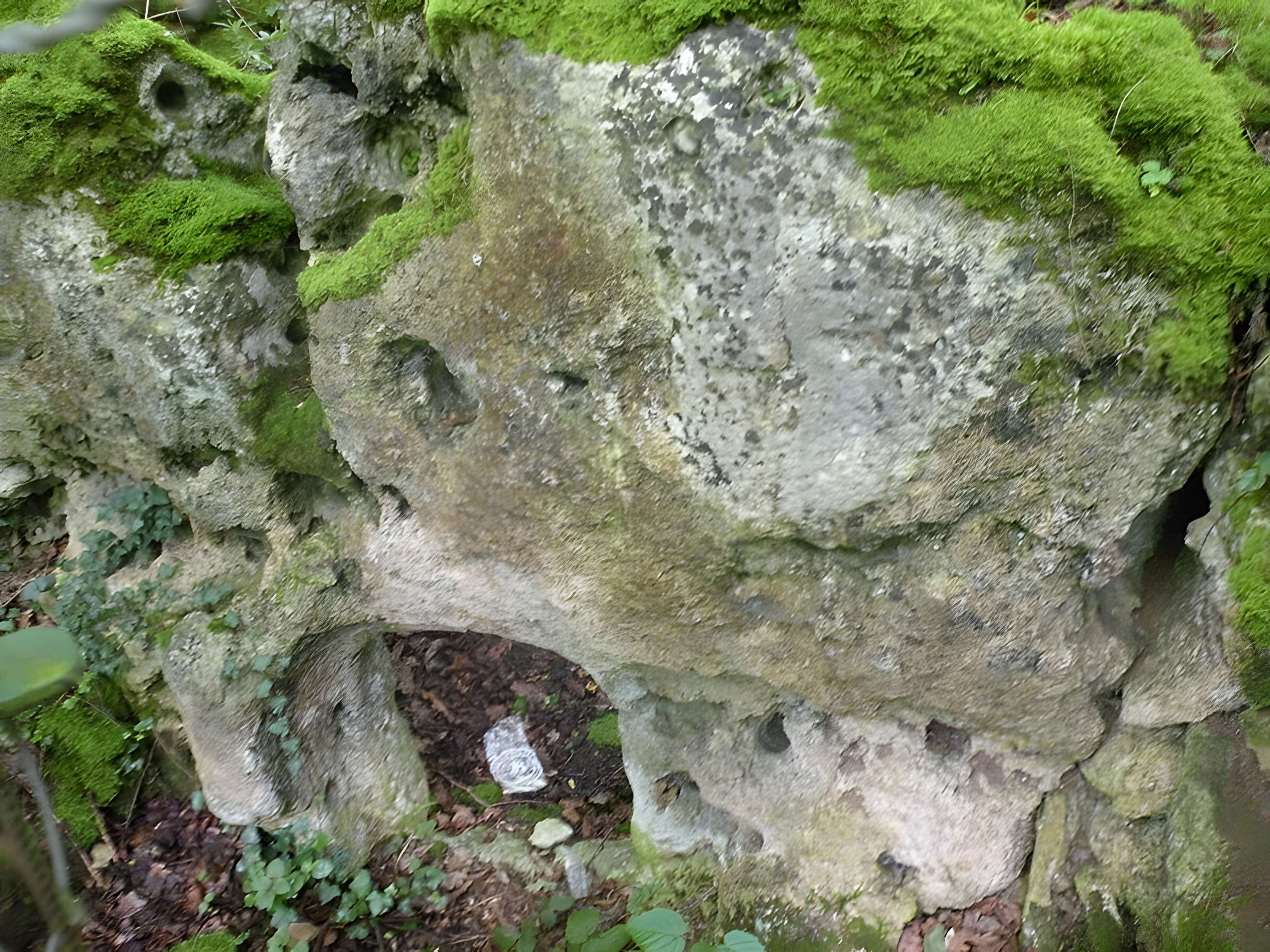 Allée couverte de la côte du Libéra à Arronville