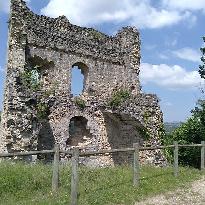 Photo de Château de Beauvoir à Beauvoir-en-Royans