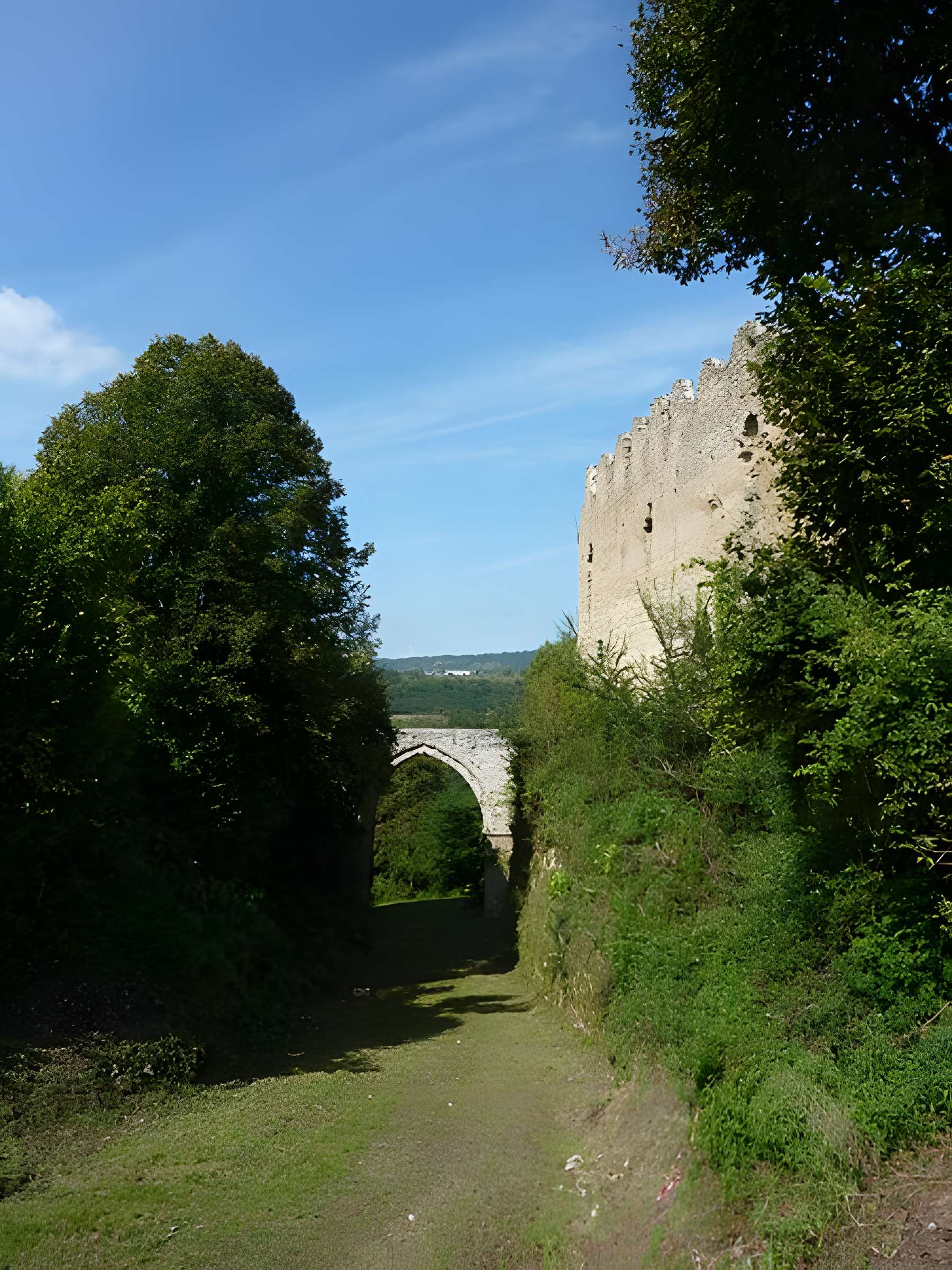 Château de Beauvoir à Beauvoir-en-Royans