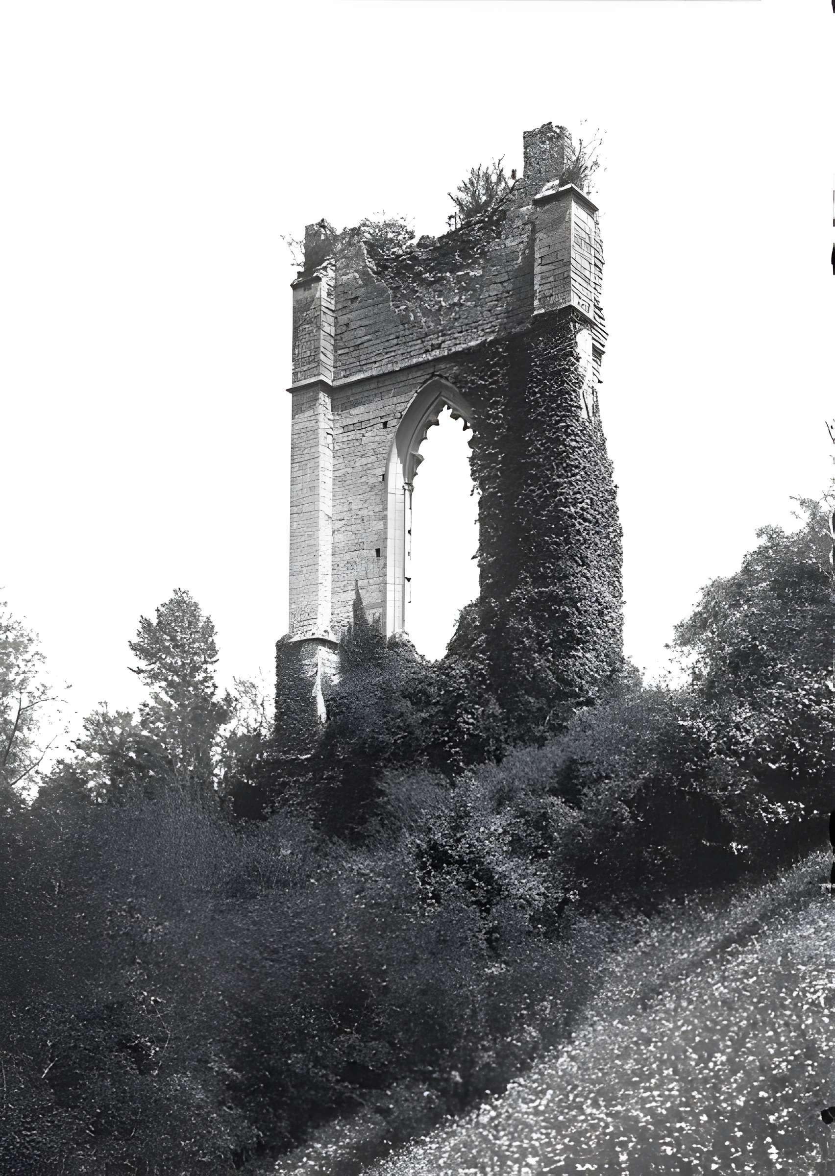 Château de Beauvoir à Beauvoir-en-Royans