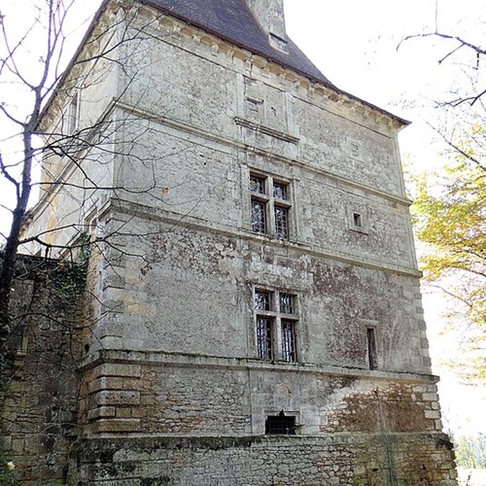 Photo de Château de Besse