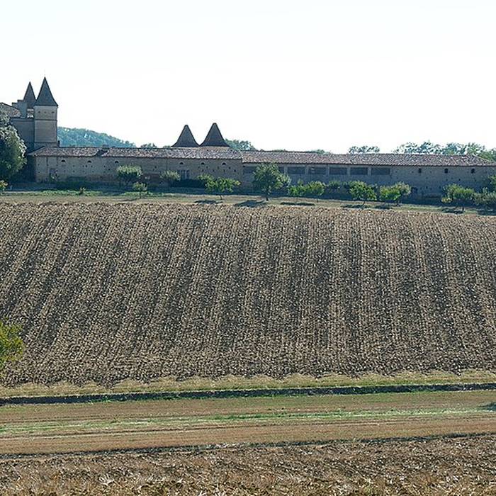 Photo de Château de Bézéril