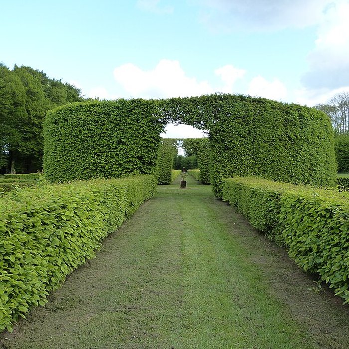 Photo de Château de Bogard
