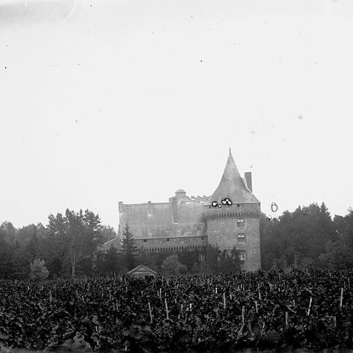 Photo de Château de Boisy