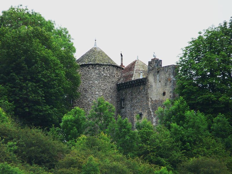 Photo de Château de Bonnebaud