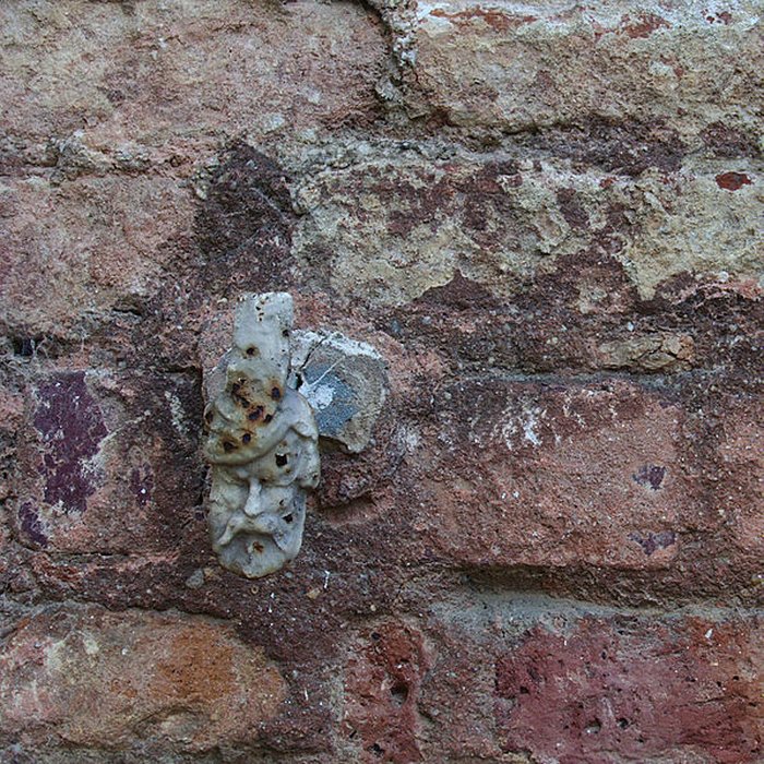 Photo de Château de Bonnemare