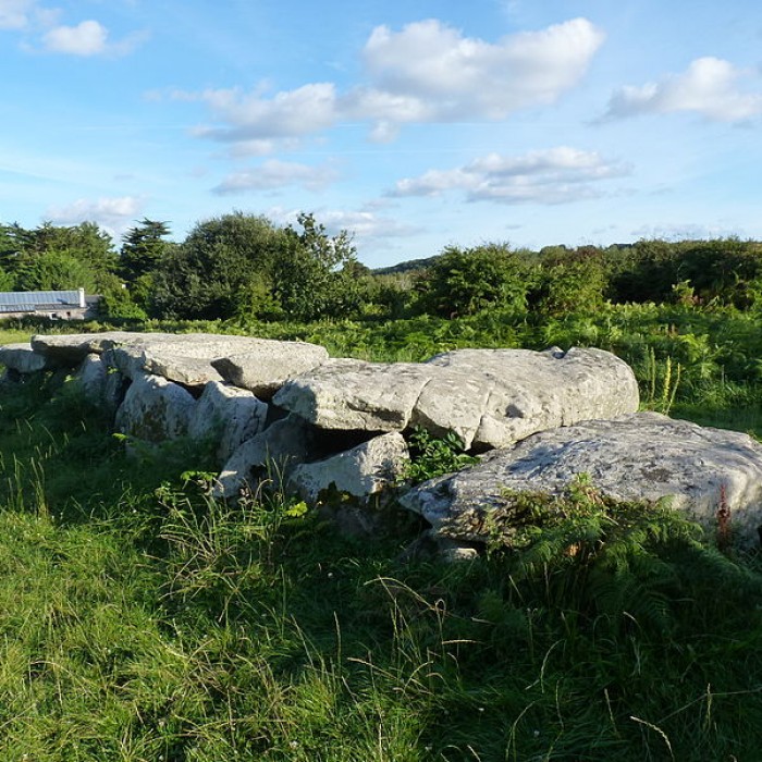Photo de Allée couverte et menhir de Prajou-Menhir