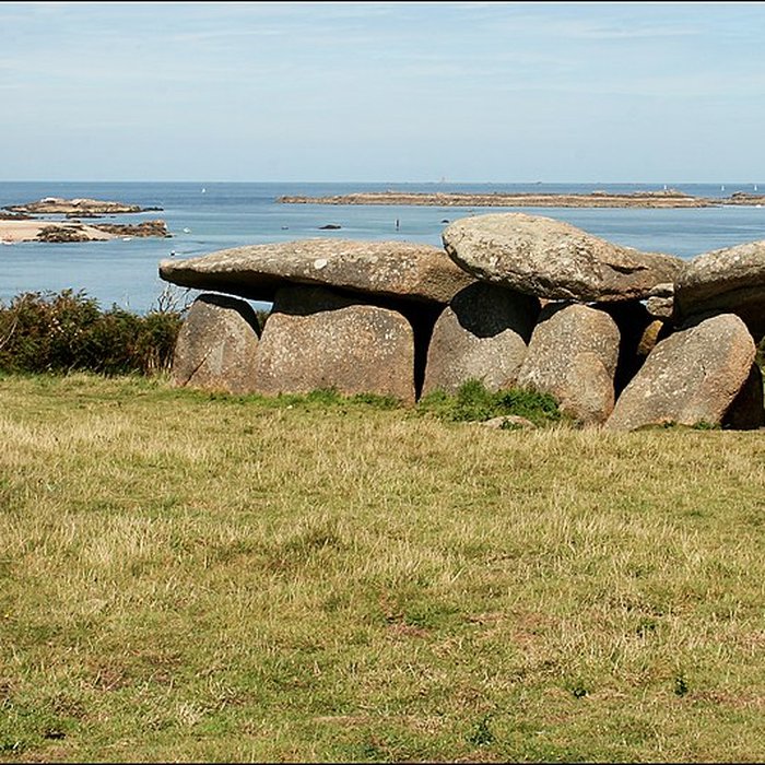 Photo de Allée couverte et menhir de Prajou-Menhir